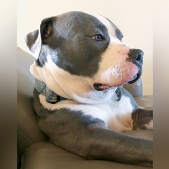 Meet your Posher, Helen Brianna - Picture 8 of 17